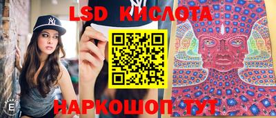 ECSTASY Гай