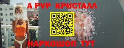 ECSTASY Гай